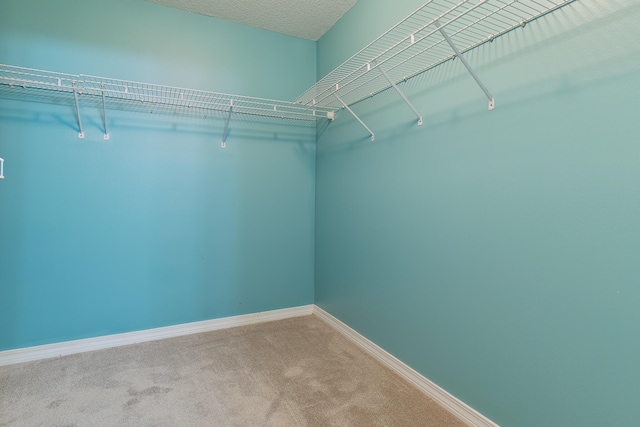 spacious closet featuring carpet flooring