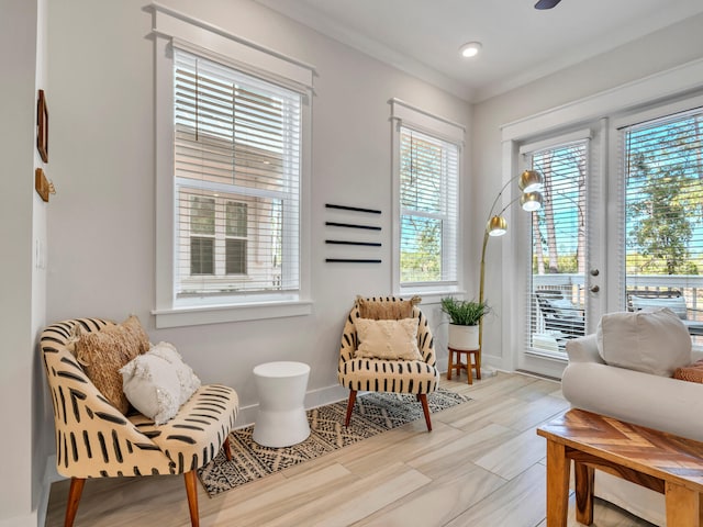 living area with crown molding