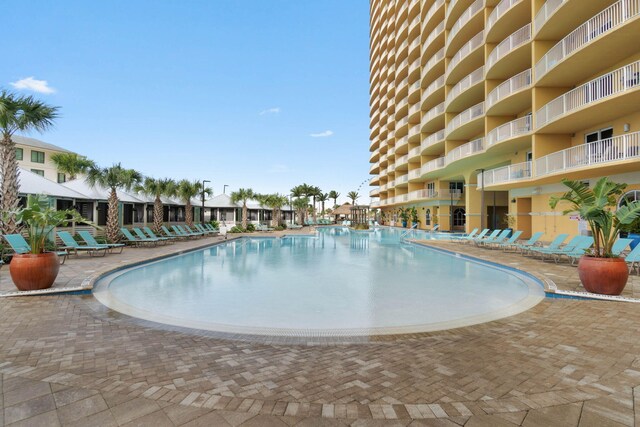 view of pool featuring a patio