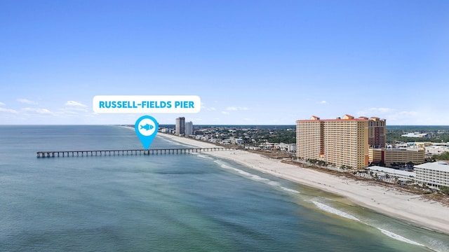 bird's eye view with a water view and a view of the beach