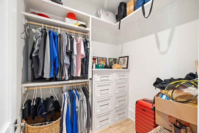 12 Needle Cast Ln, Inlet Beach, FL 32461 - spacious closet with light wood-type flooring