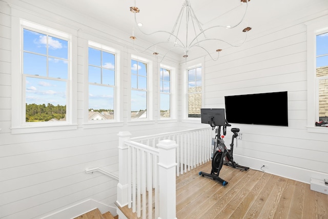 workout room featuring wood walls, hardwood / wood-style flooring, and a healthy amount of sunlight