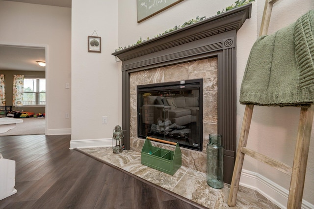 room details with wood-type flooring and a high end fireplace