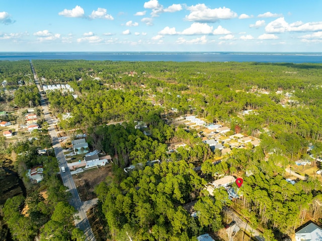 drone / aerial view with a forest view