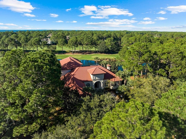 3400 Ravenwood Ln, Miramar Beach, FL 32550 - aerial view of property and surrounding area featuring a heavily wooded area