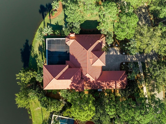 3400 Ravenwood Ln, Miramar Beach, FL 32550 - view from above of property