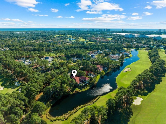 3400 Ravenwood Ln, Miramar Beach, FL 32550 - aerial view of a large body of water, a golf club, and a tree filled landscape