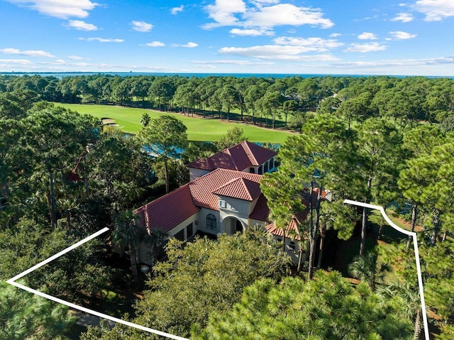 3400 Ravenwood Ln, Miramar Beach, FL 32550 - view from above of property with a golf course, property parcel outlined, and a forest