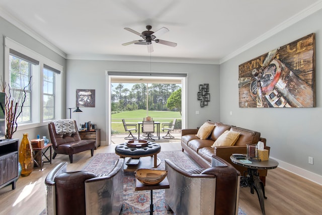 living room with crown molding, ceiling fan, and light wood-type flooring