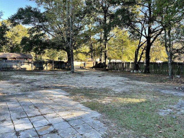 view of yard featuring a patio