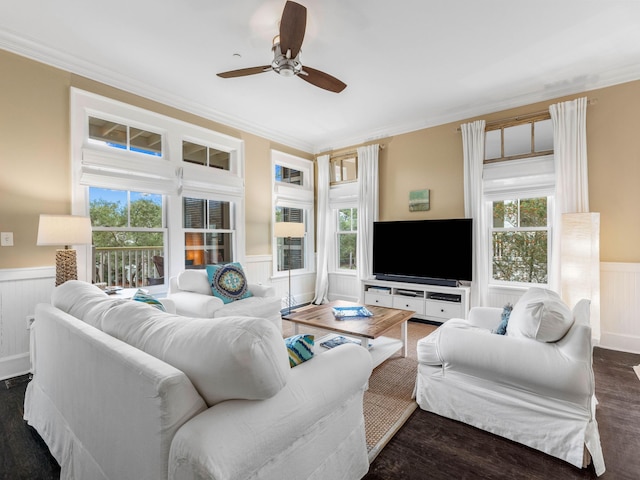 living room featuring dark hardwood / wood-style floors, a wealth of natural light, crown molding, and ceiling fan