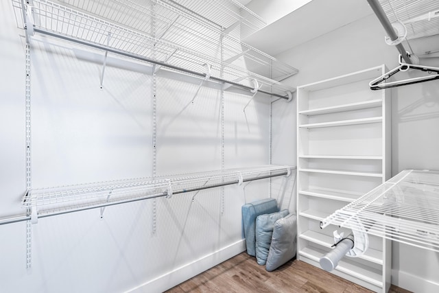 spacious closet with hardwood / wood-style floors