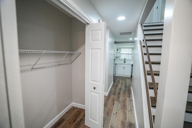 closet featuring sink