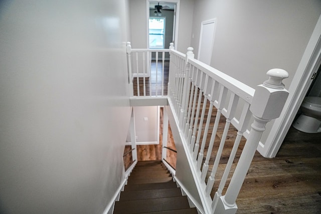 stairway with wood-type flooring