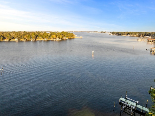 water view featuring a dock