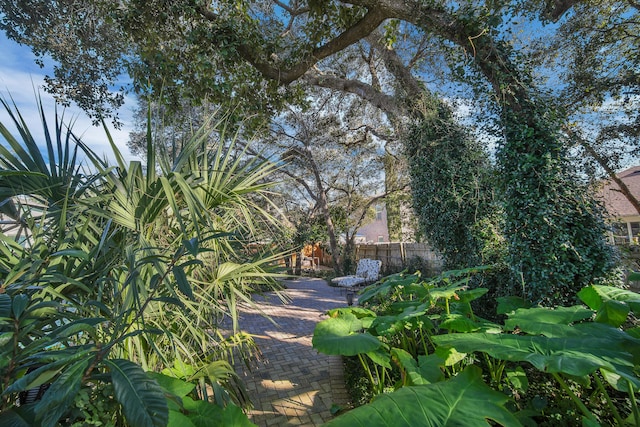 view of community with a patio