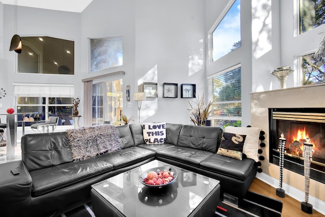 living room featuring a high ceiling and hardwood / wood-style flooring