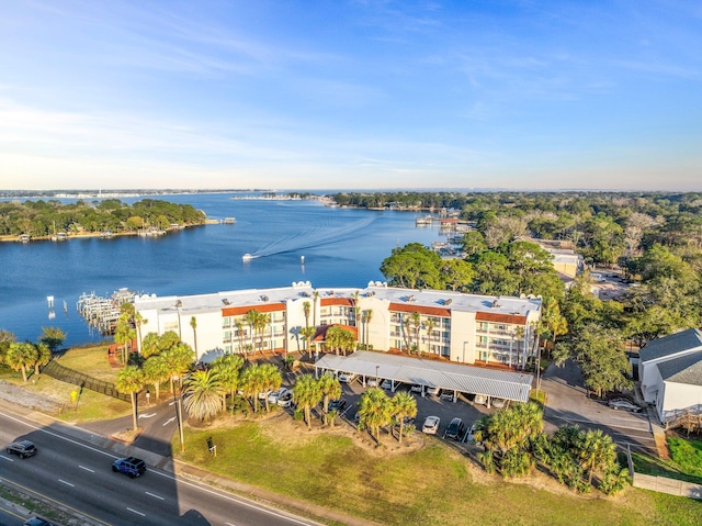 aerial view with a water view