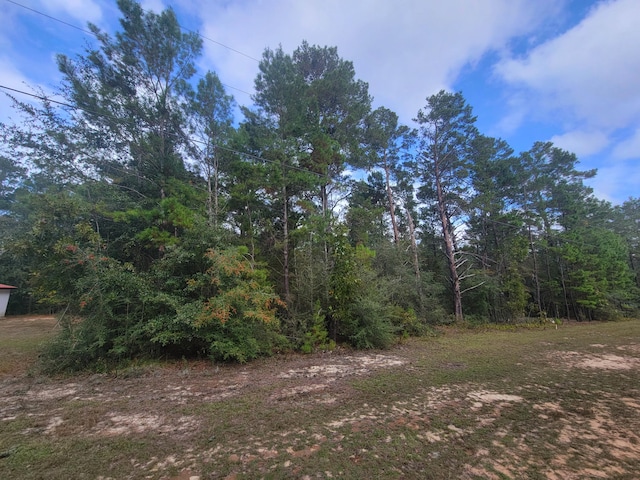 Listing photo 2 for LOT6 W May Lilly Ct, Defuniak Springs FL 32433