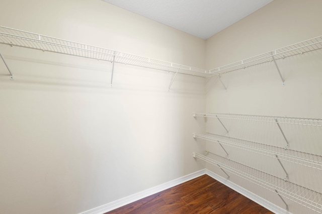 spacious closet featuring wood-type flooring