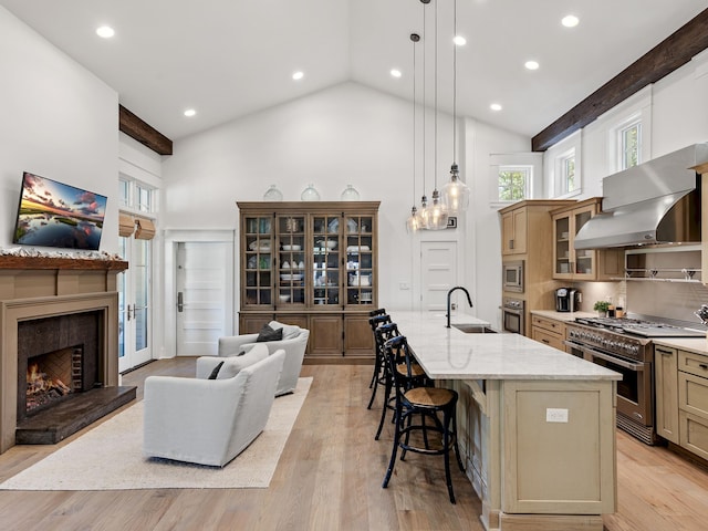 kitchen with pendant lighting, light hardwood / wood-style flooring, appliances with stainless steel finishes, a large island, and light stone counters