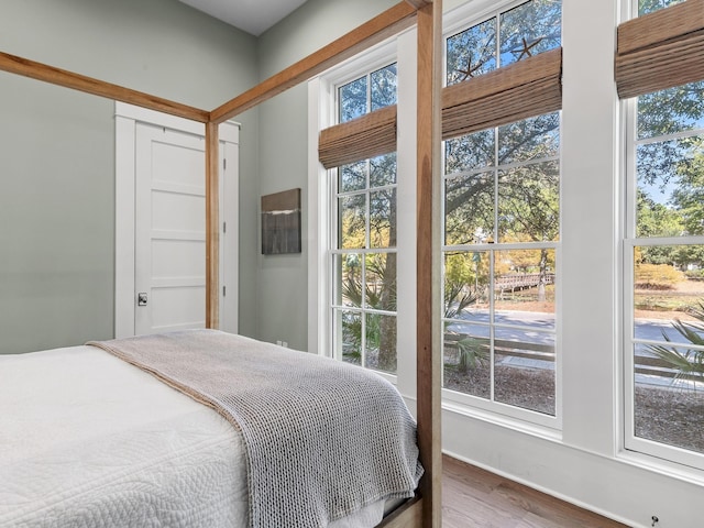 11 Acorn Way, Santa Rosa Beach, FL 32459 - bedroom featuring wood finished floors, multiple windows, and baseboards