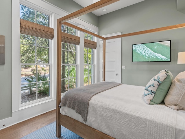 bedroom featuring multiple windows and wood-type flooring