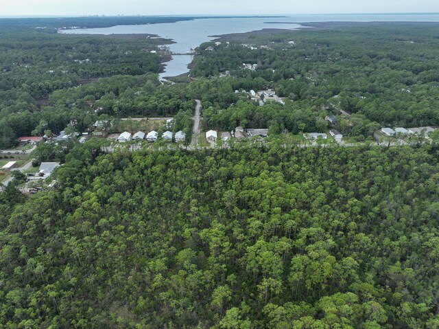 0 Indian Woman Rd, Santa Rosa Beach, FL 32459 - photo 8