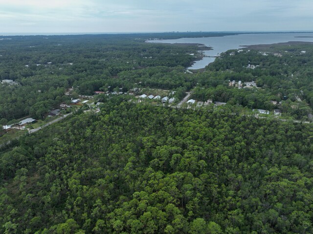 0 Indian Woman Rd, Santa Rosa Beach, FL 32459 - photo 11