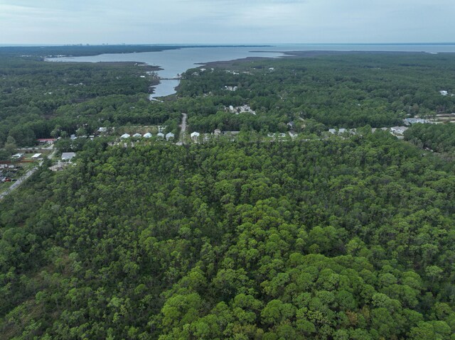 0 Indian Woman Rd, Santa Rosa Beach, FL 32459 - photo 12
