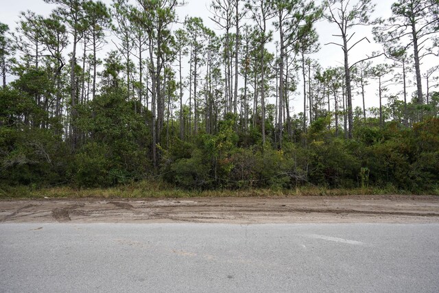 0 Indian Woman Rd, Santa Rosa Beach, FL 32459 - photo 17