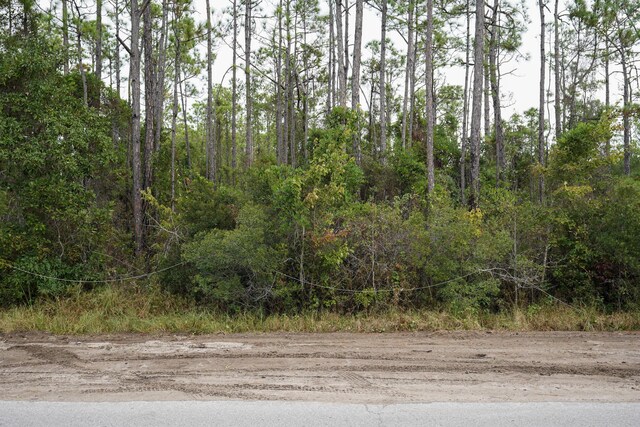 0 Indian Woman Rd, Santa Rosa Beach, FL 32459 - photo 18