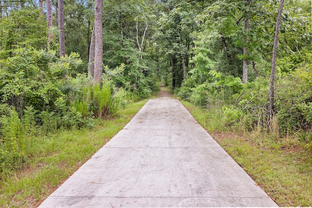 727 Marquis Way, Freeport, FL 32439 - view of street featuring a forest view