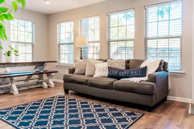 living room with hardwood / wood-style flooring