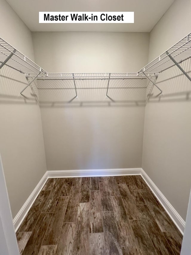 walk in closet with dark wood-style flooring