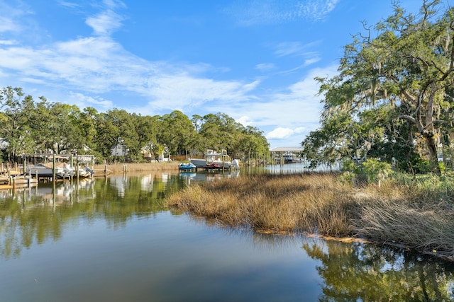 view of water feature with a dock