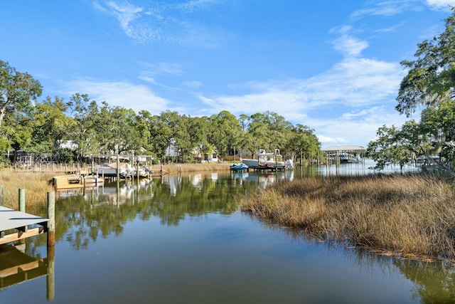 water view featuring a dock