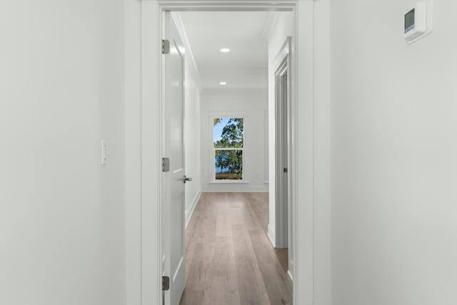 hall with light hardwood / wood-style flooring