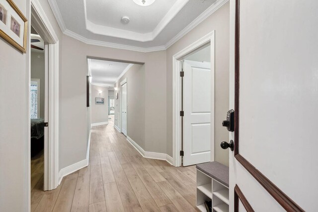 hall featuring light hardwood / wood-style floors and crown molding