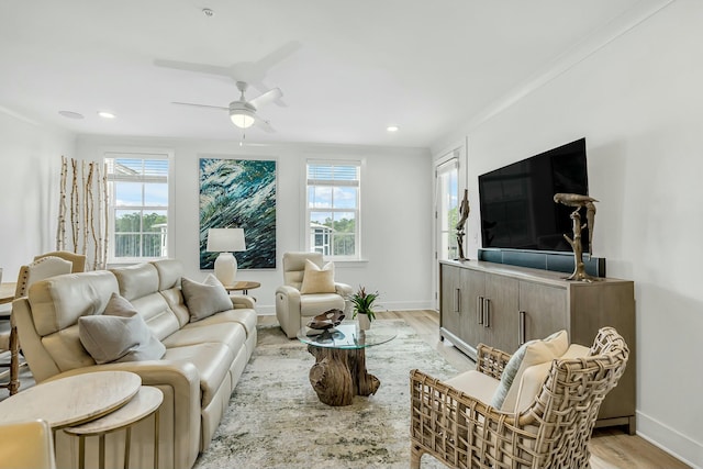 living room with ceiling fan, light wood-type flooring, and ornamental molding