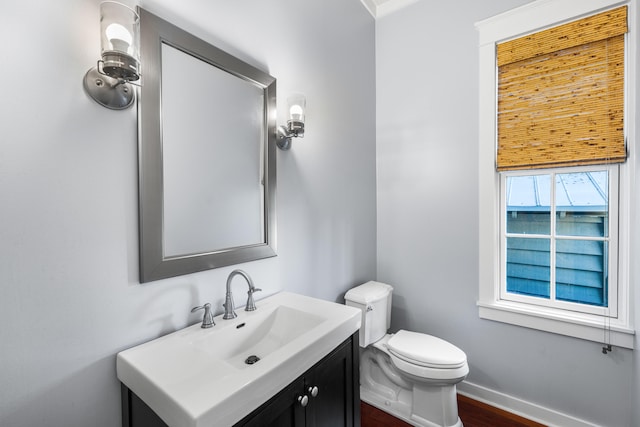 bathroom featuring vanity, hardwood / wood-style flooring, and toilet