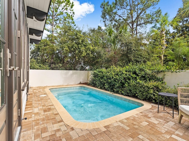 view of swimming pool with a patio