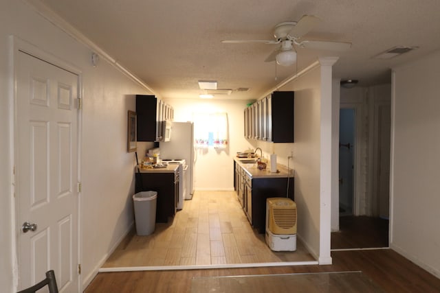 kitchen featuring ceiling fan, sink, crown molding, and light wood-type flooring