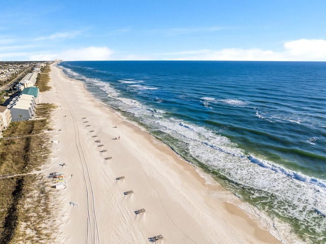 water view featuring a beach view