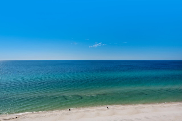 water view featuring a beach view