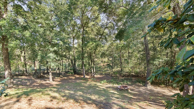 446 Mango Ln, Freeport, FL 32439 - fenced yard with a fire pit
