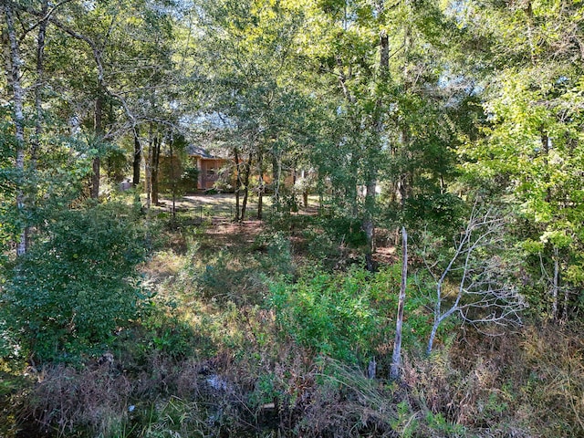 446 Mango Ln, Freeport, FL 32439 - view of nature