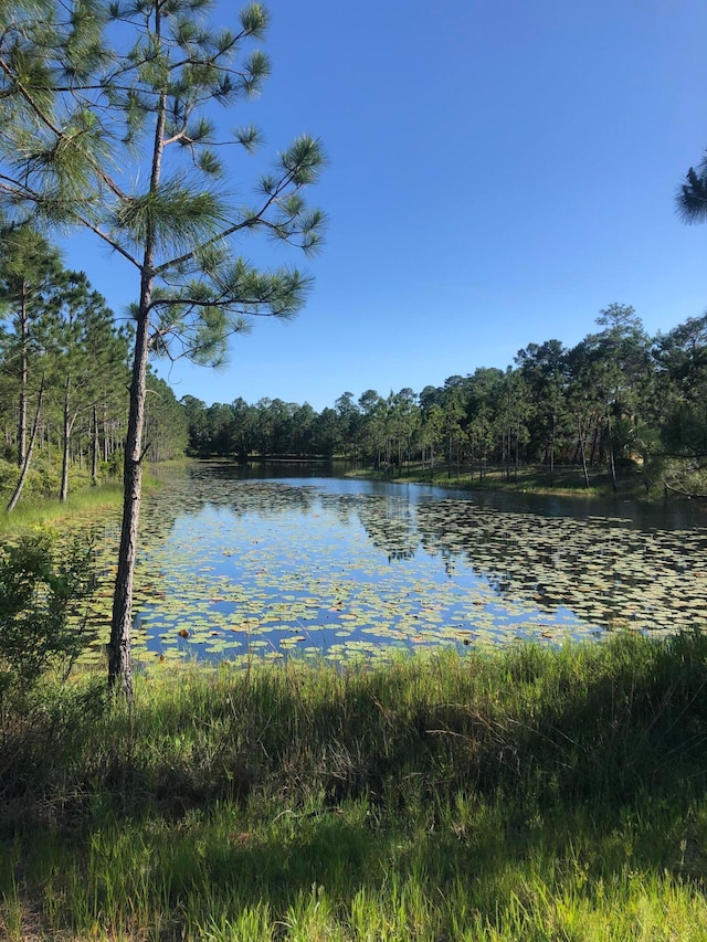 1521 Dune Lake Trl, Panama City Beach FL, 32413 land for sale