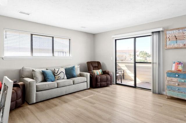 living room featuring light hardwood / wood-style floors