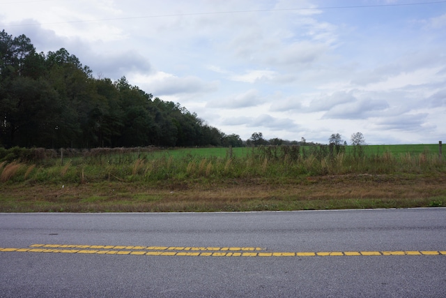 Listing photo 3 for TBD Highway 393, Laurel Hill FL 32567